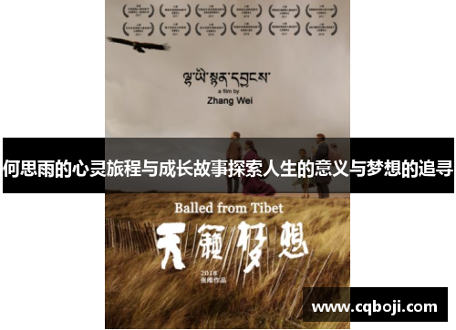 何思雨的心灵旅程与成长故事探索人生的意义与梦想的追寻